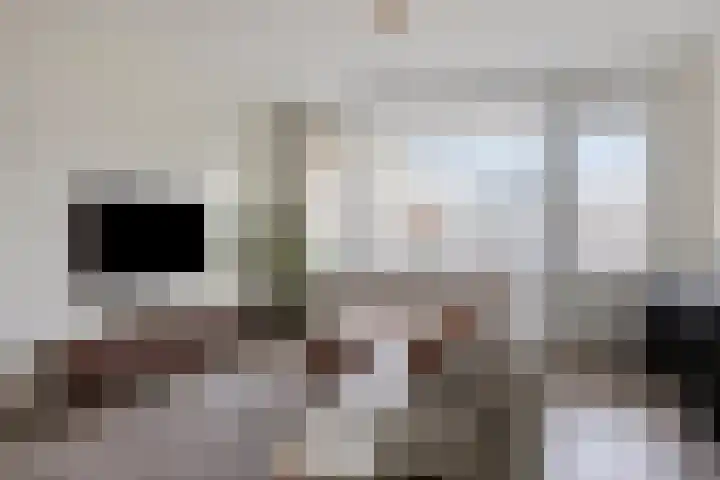 Hammarskjöldlaan 493 Rijswijk thumbnail 12