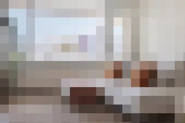 Hammarskjöldlaan 493 Rijswijk thumbnail 15