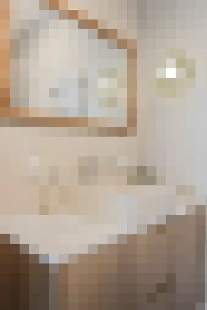 Hammarskjöldlaan 493 Rijswijk thumbnail 30
