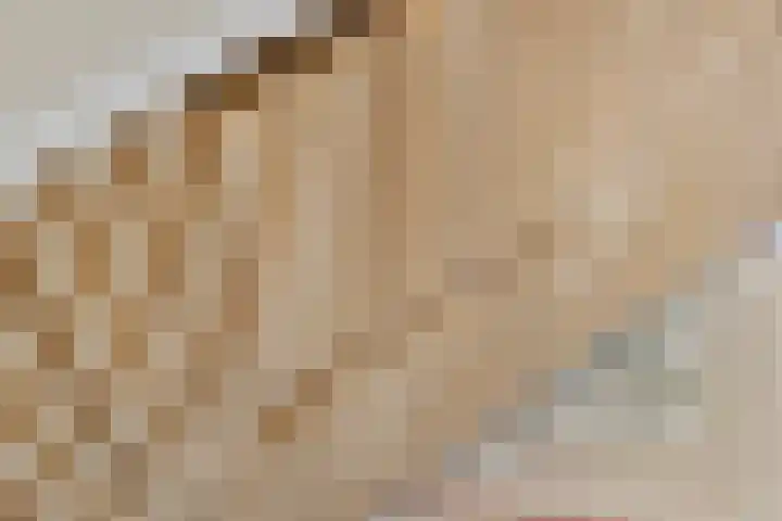 Hammarskjöldlaan 493 Rijswijk thumbnail 33