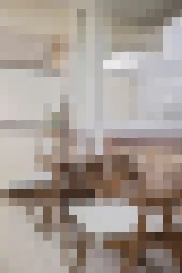 Hammarskjöldlaan 493 Rijswijk thumbnail 37