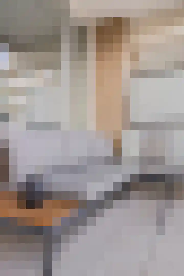 Hammarskjöldlaan 493 Rijswijk thumbnail 38