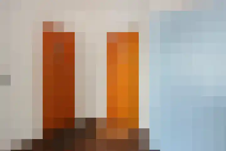 Hammarskjöldlaan 493 Rijswijk thumbnail 6