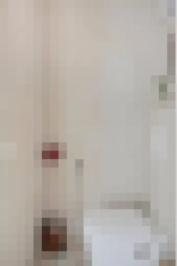 Hammarskjöldlaan 493 Rijswijk thumbnail 8