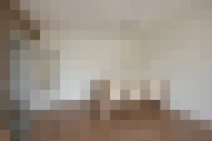 Hammarskjöldlaan 519 Rijswijk thumbnail 13