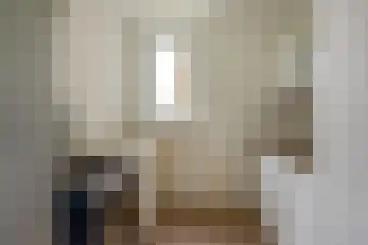 Hammarskjöldlaan 519 Rijswijk thumbnail 4