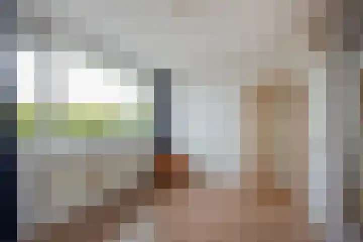 Hammarskjöldlaan 519 Rijswijk thumbnail 6