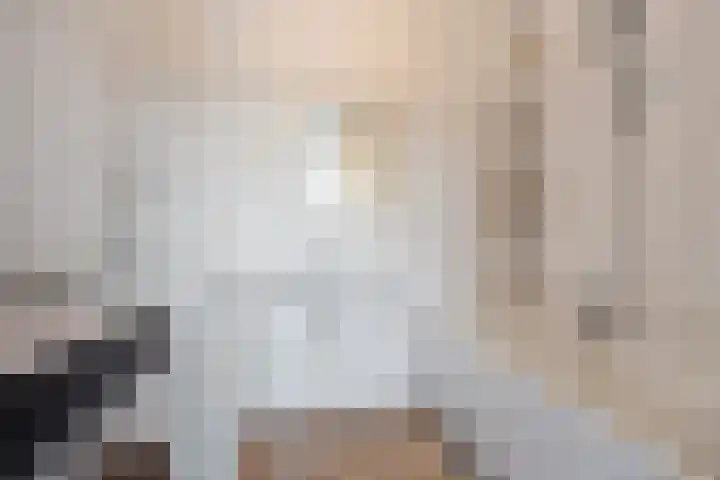 Hammarskjöldlaan 519 Rijswijk thumbnail 7