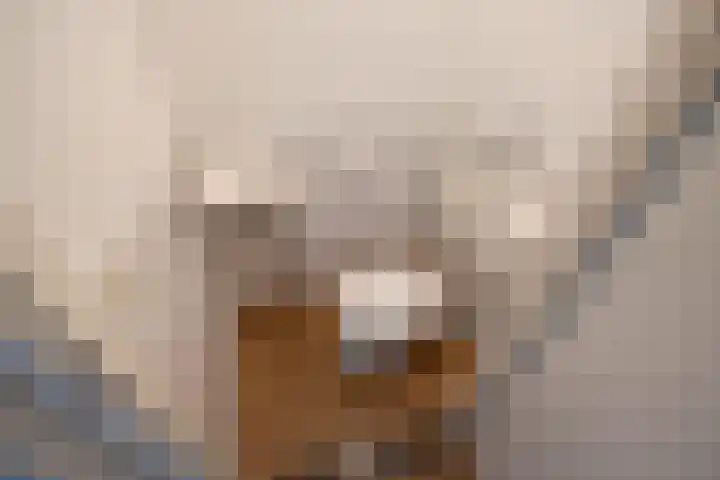 Hammarskjöldlaan 519 Rijswijk thumbnail 8