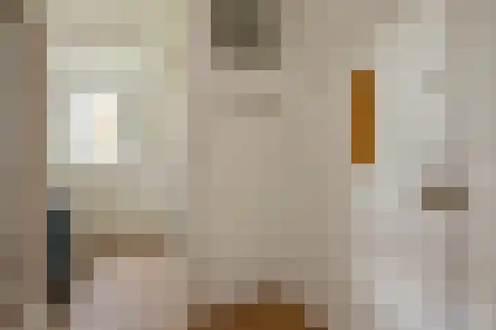 Hammarskjöldlaan 519 Rijswijk thumbnail 9
