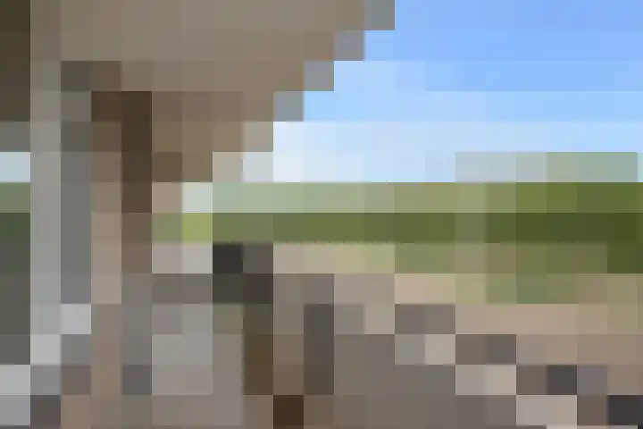 Hammarskjöldlaan 537 Rijswijk thumbnail 12