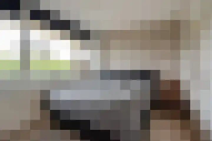 Hammarskjöldlaan 537 Rijswijk thumbnail 16