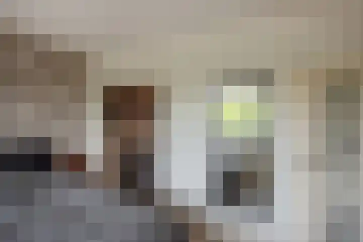 Hammarskjöldlaan 537 Rijswijk thumbnail 18
