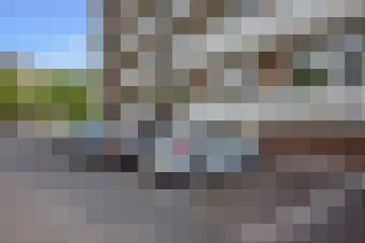 Hammarskjöldlaan 537 Rijswijk thumbnail 23