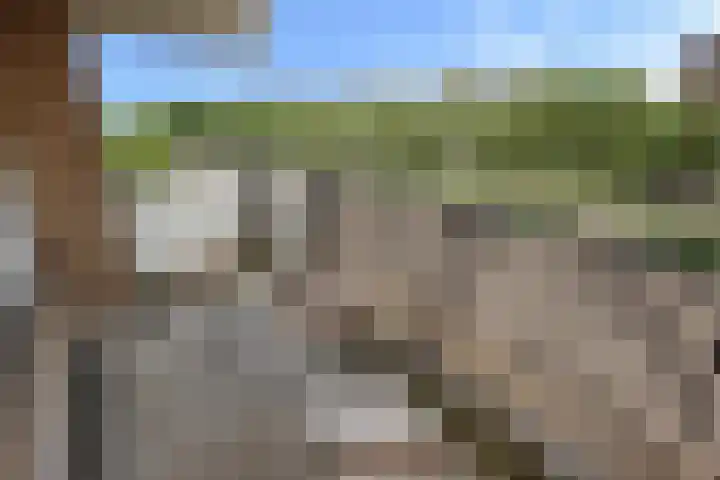 Hammarskjöldlaan 537 Rijswijk thumbnail 4