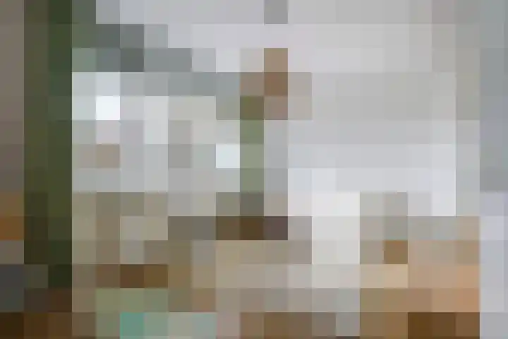 Hammarskjöldlaan 577 Rijswijk thumbnail 15