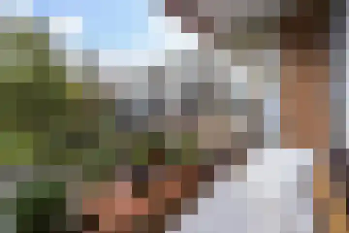 Hammarskjöldlaan 577 Rijswijk thumbnail 20