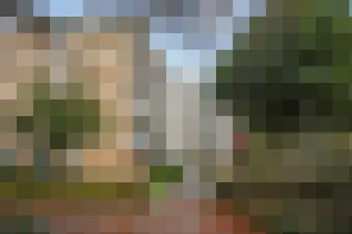 Hammarskjöldlaan 577 Rijswijk thumbnail 27