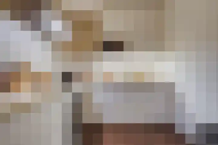 Hammarskjöldlaan 577 Rijswijk thumbnail 5