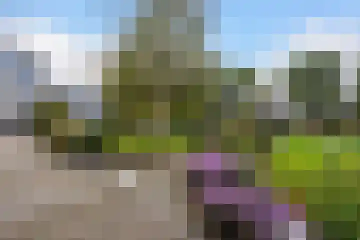 Hammarskjöldlaan 577 Rijswijk thumbnail 6