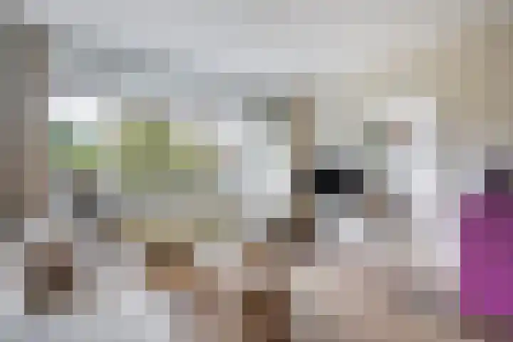 Hammarskjöldlaan 577 Rijswijk thumbnail 9