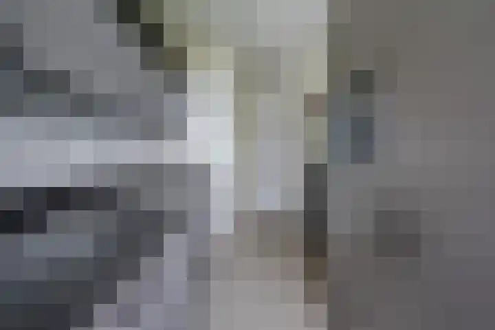 Hammarskjöldlaan 695 Rijswijk thumbnail 10