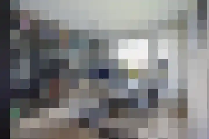 Hammarskjöldlaan 695 Rijswijk thumbnail 12