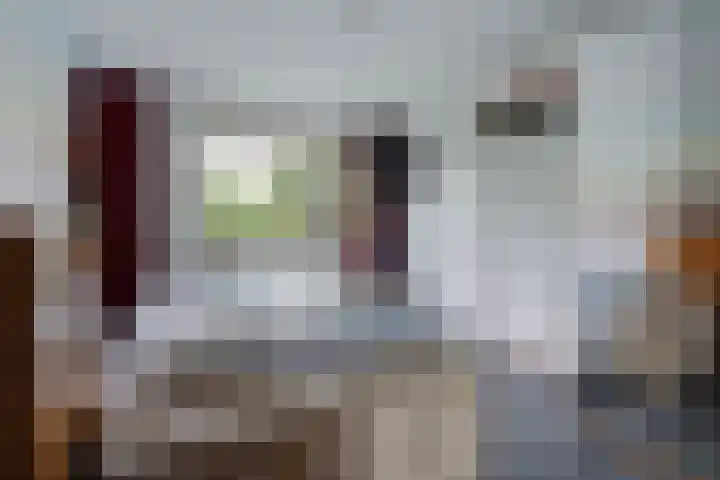 Hammarskjöldlaan 695 Rijswijk thumbnail 15