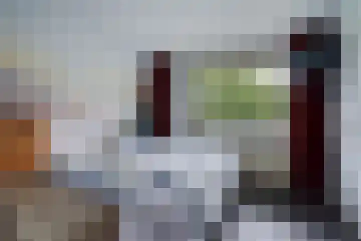 Hammarskjöldlaan 695 Rijswijk thumbnail 16