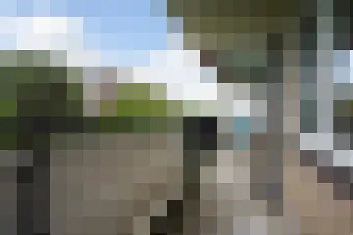 Hammarskjöldlaan 695 Rijswijk thumbnail 18