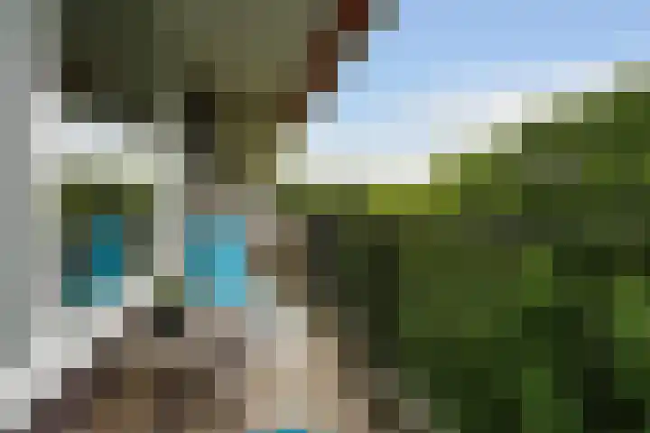 Hammarskjöldlaan 695 Rijswijk thumbnail 19