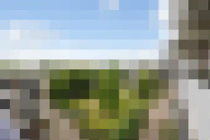 Hammarskjöldlaan 695 Rijswijk thumbnail 20