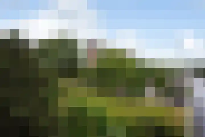 Hammarskjöldlaan 695 Rijswijk thumbnail 23