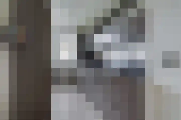 Hammarskjöldlaan 695 Rijswijk thumbnail 4