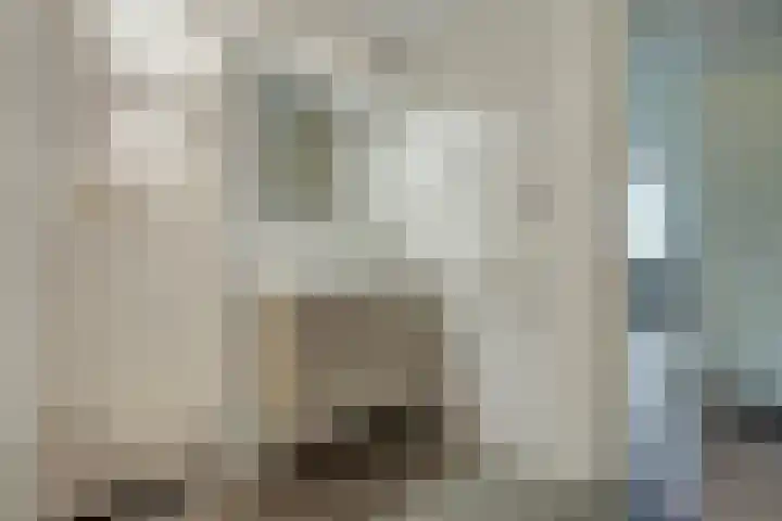 Hammarskjöldlaan 695 Rijswijk thumbnail 5