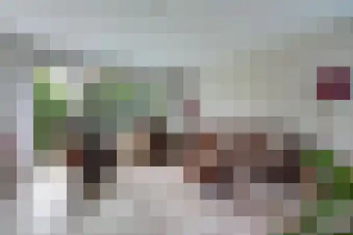Hammarskjöldlaan 695 Rijswijk thumbnail 6