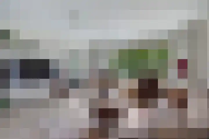 Hammarskjöldlaan 695 Rijswijk thumbnail 7