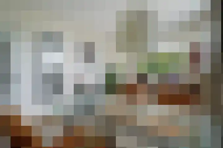 Hammarskjöldlaan 695 Rijswijk thumbnail 8