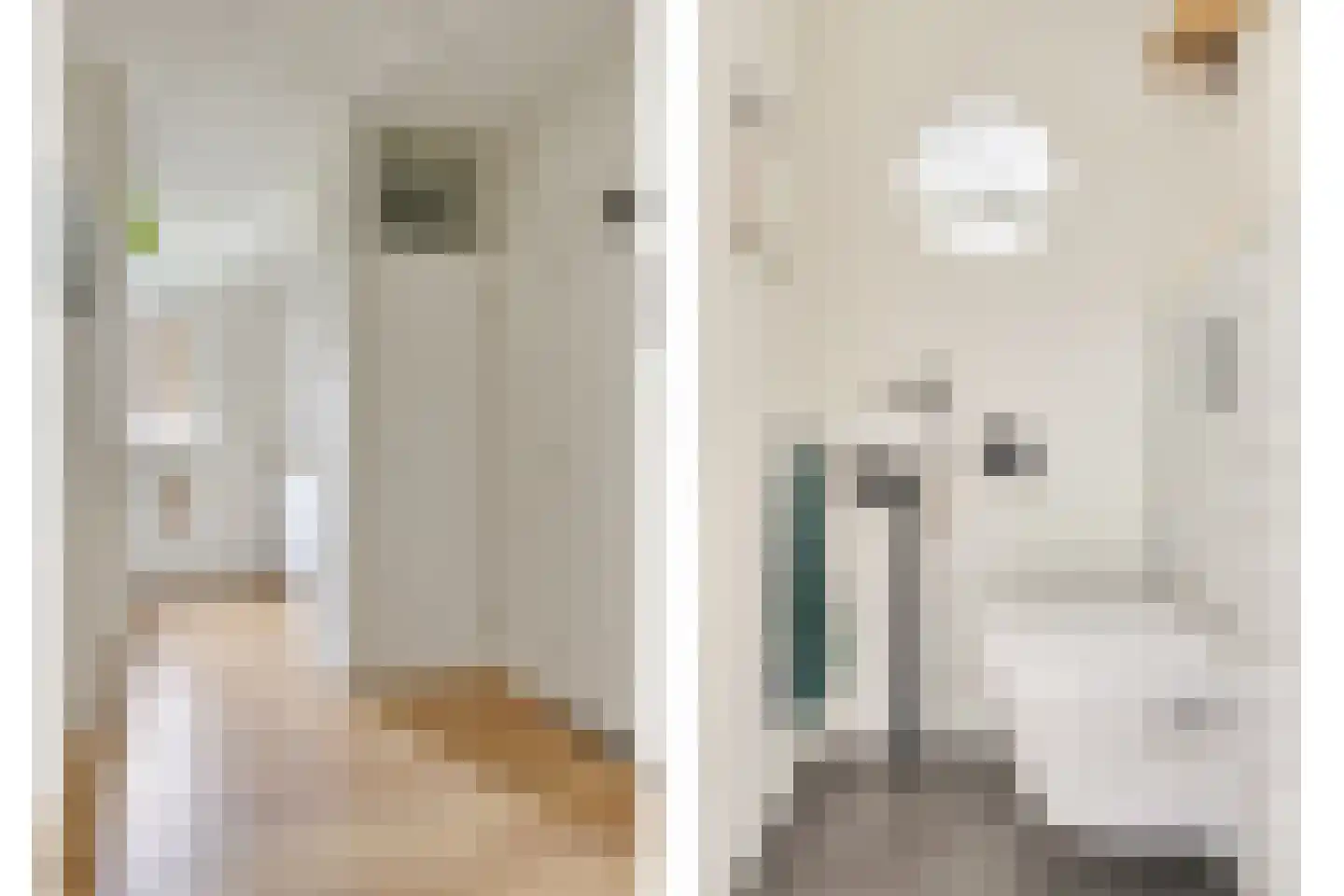 Hammarskjöldlaan 721 Rijswijk thumbnail 10