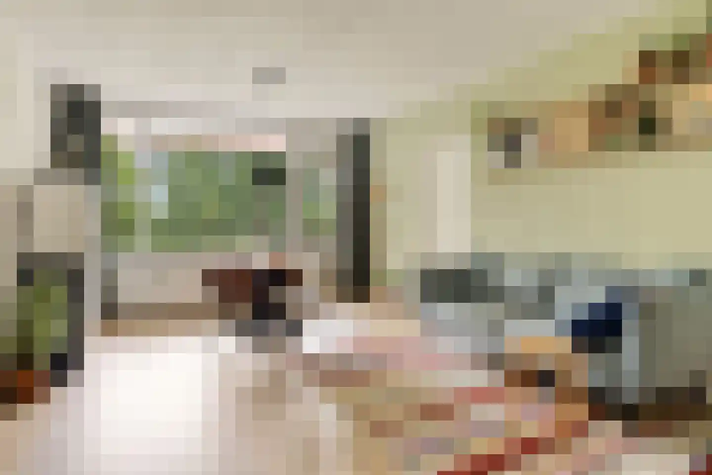 Hammarskjöldlaan 721 Rijswijk thumbnail 12