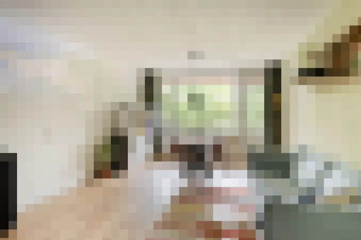 Hammarskjöldlaan 721 Rijswijk thumbnail 15