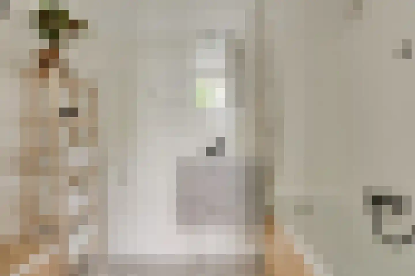Hammarskjöldlaan 721 Rijswijk thumbnail 19