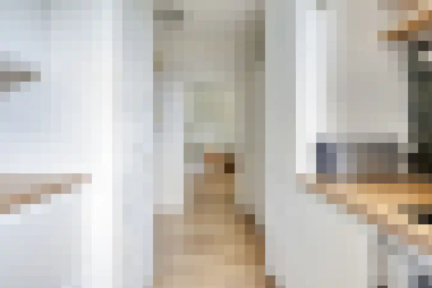 Hammarskjöldlaan 721 Rijswijk thumbnail 9