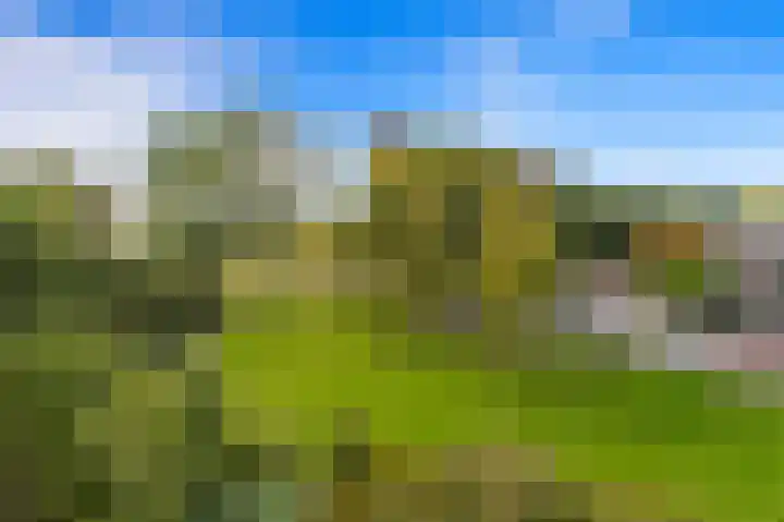 Hammarskjöldlaan 729 Rijswijk thumbnail 14