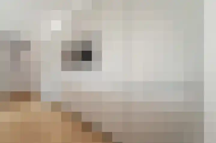 Hammarskjöldlaan 729 Rijswijk thumbnail 15