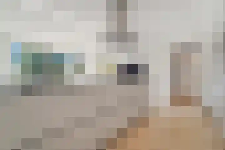 Hammarskjöldlaan 729 Rijswijk thumbnail 16