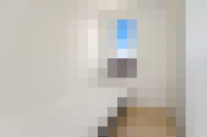 Hammarskjöldlaan 729 Rijswijk thumbnail 23
