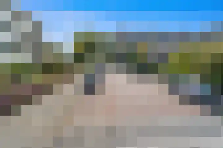 Hammarskjöldlaan 729 Rijswijk thumbnail 27