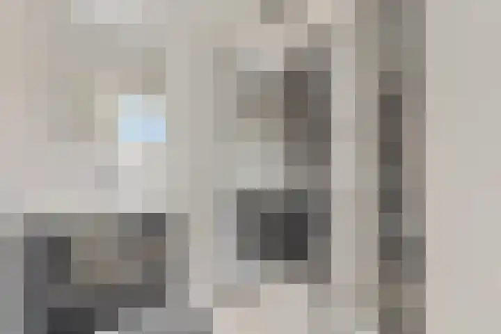 Hammarskjöldlaan 729 Rijswijk thumbnail 4