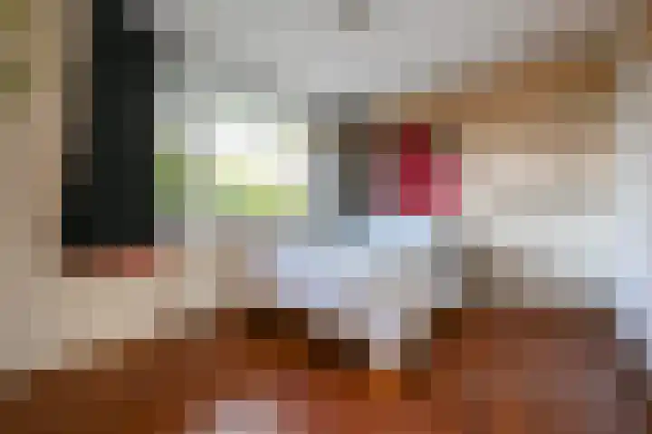 Hammarskjöldlaan 91 Rijswijk thumbnail 15